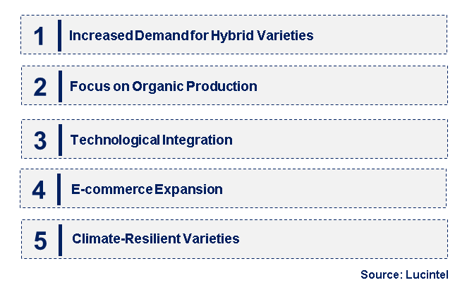 Emerging Trends in the Okra Seeds Market